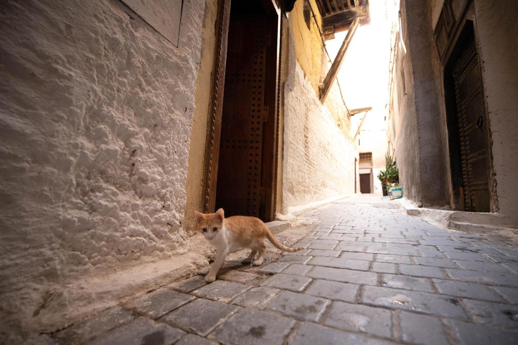 Riad Dar Omar Fès Exterior foto